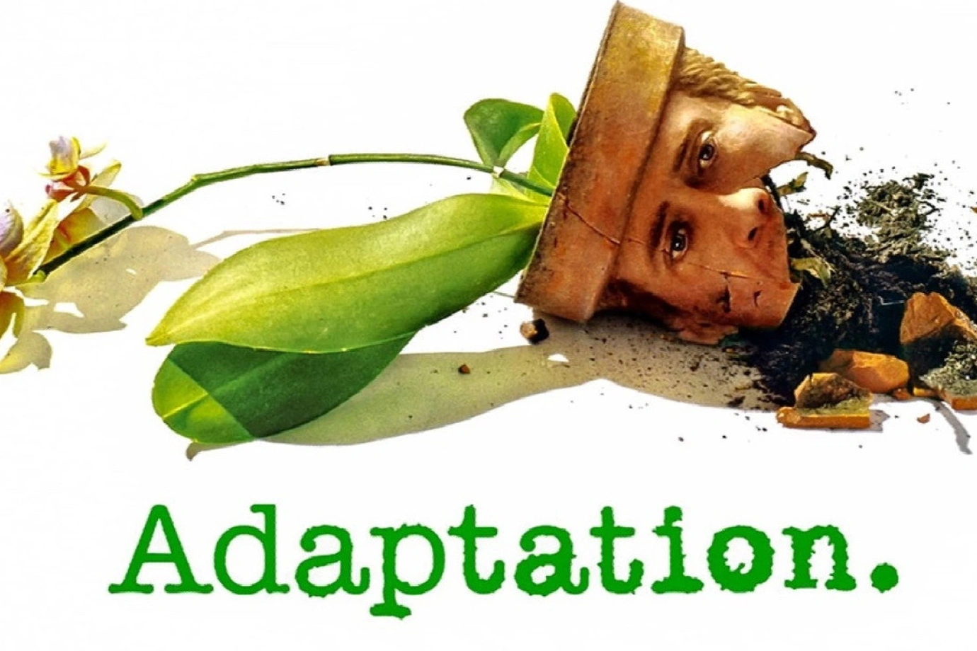 Adaptation.